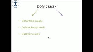 Doły czaszki wstęp PL [upl. by Letitia]