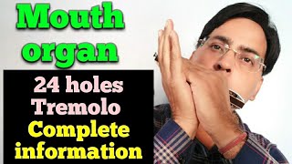 24 holes mouth organ lesson Complete information for 24 holes tremolo mouth organ [upl. by Cira]