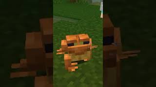 ENCONTRAMOS OS NOVOS SAPOS DO MINECRAFT 🐸 [upl. by Elbag]