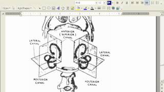 MOTOR CNS Part 12 د  مجدى صبرى [upl. by Leiba]