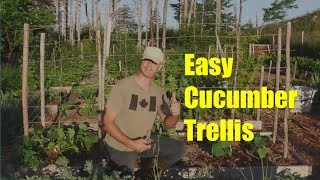 Trellis Basics Part 4 Strong Trellis for Cucumbers [upl. by Aneladgam]