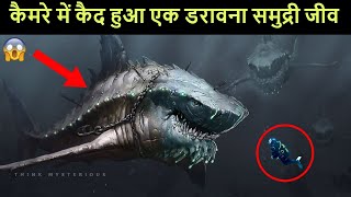 समंदर की गहराई में दिखा एक खतरानक जीव  5 mysterious sea creatures caught on camera [upl. by Bonaparte]