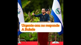 urgente la onu aun no le contesta a bukele [upl. by Steere665]