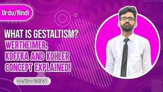 What is Gestaltism WertheimerKoffkaKohler Concept Hindi\Urdu [upl. by Argela]