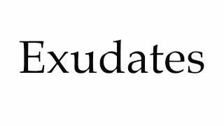 How to Pronounce Exudates [upl. by Bergmans]