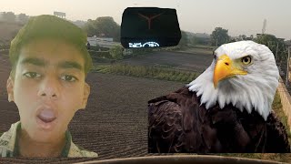 Eagle ne attack kar dia  jis ko free air podes chahiye 10 comment kare [upl. by Ilyah356]