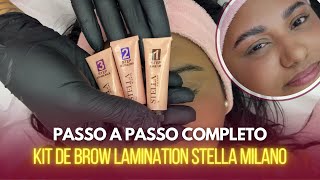 BROW LAMINATION PASSO A PASSO COMPLETO  KIT STELLA MILANO  Eyebrows Shapes  Eyebrow Threading [upl. by Lingwood364]