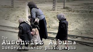 The Auschwitz Album and Sonderkommando photographs [upl. by Ahsital420]