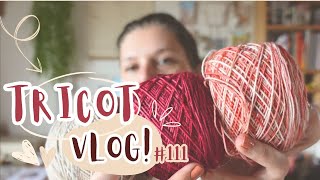 Des quotbébés noppesquot  Vlog Tricot 111 [upl. by Ansilma136]