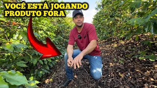 DICAS PARA TER MAIOR RESULTADO COM A PRODUÇÃO DE CAFÉ [upl. by Eerb648]