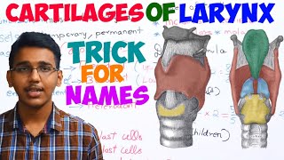 cartilages of larynxexplainedtrick to memorize the names of cartilages [upl. by Karab]