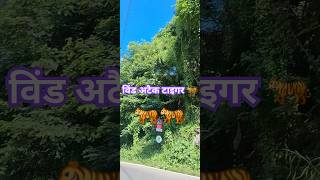 टाइगर अटैक travel corbett automobile jimcorbettsafari vlog [upl. by Ahsinej388]