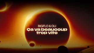 Bigflo amp Oli  Ça va beaucoup trop vite Clip IA [upl. by Polk]