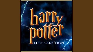 Hedwigs Theme from quotHarry Potter and The Philosophers Stonequot [upl. by Uball]