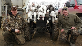 Beginners Guide to Snow Goose Hunting  Decoy Hunting  Spring Conservation Order [upl. by Auria]