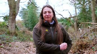 Hillforts of the Chilterns Bulstrode Camp [upl. by Woermer]