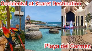 Christmas and New Year at Occidental Xcaret All inclusive Resort [upl. by Three]