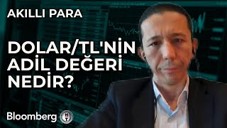 Akıllı Para  DolarTLnin Adil Değeri Nedir  21 Mayıs 2024 [upl. by Aleuname]