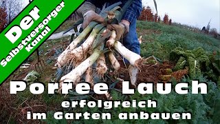 Porree Lauch erfolgreich im Garten anbauen [upl. by Arndt]