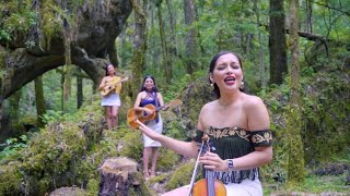 Huapango El Cielito Lindo  Mujeres de la Huasteca PRESENTACIÓN DEL DISCO TAMAULIPECA  cerro [upl. by Mcdade]