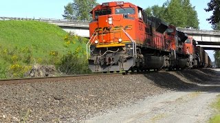 Cascades and Empty Coal Train at Marysville WA 4K [upl. by Evvie]