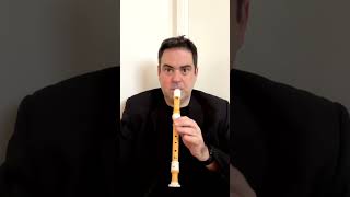 Recorder in the Corner Japanese [upl. by Aisirtap]