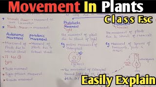 Movement In Plants  Autonomic Movement  Tactic Turgor Pressure amp Growth Movement  Class 12 [upl. by Ydospahr413]