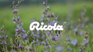 إعلان ريكولا للشرق الاوسط  AE  RICOLA [upl. by Nihs]