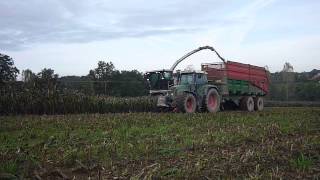 ensilage de sorgho 2012  avec ensileuse claas 940 [upl. by Nnaynaffit]