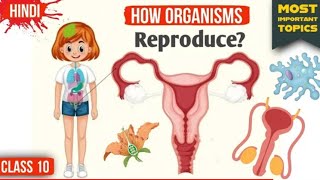 How Do Organism Reproduce Class 10 Full Chapter Animation  Class 10 Science Chapter 8  CBSE [upl. by Renrag]