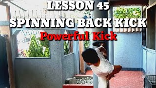 Spinning Back Kick a powerful kickLESSON 45MMA Taekwondo [upl. by Irrahs]