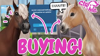 BUYING NEW HAFLINGER HORSES IN STAR STABLE 😍 [upl. by Magnien]