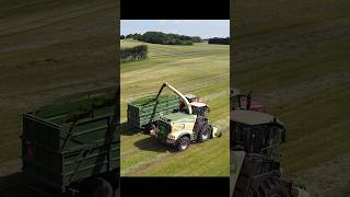 🚜✨ Harvesting at Another Level  Amazing Big Tractors on the Field  Silage 2024 [upl. by Blase]