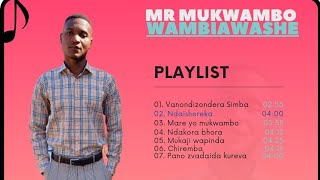 mr mukwambo wa mbiawashe music ndakora bora 2023 [upl. by Blisse330]