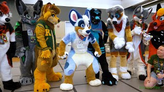 Anthrocon 2023  Fursuiting 101 [upl. by Linoel360]