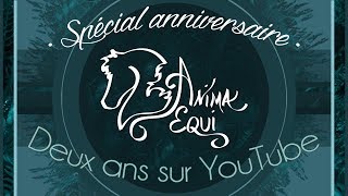 • SPÉCIAL • Rétrospective anniversaire  Deux ans sur YouTube [upl. by Sitof1]