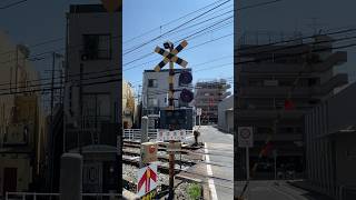 西鉄天神大牟田線 紫7号踏切 朝倉街道〜紫駅 鉄道 踏切 [upl. by Gabi]