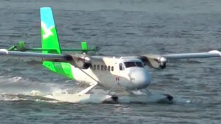 Twin Otter Seaplane Landing [upl. by Etnahsa]