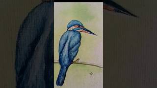 Kingfisher Drawing art shorts viralvideo [upl. by Annayehc911]