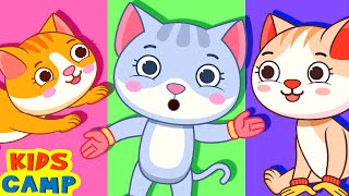 Kittens Meowing Sound Effects [upl. by Armyn]