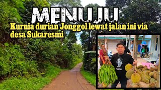 MENUJU KURNIA DURIAN JONGGOL DARI TUGU TEGAR BERIMAN VIA JEMBATAN CIPAMINGKIS  DURIAN JONGGOL [upl. by Guthry]