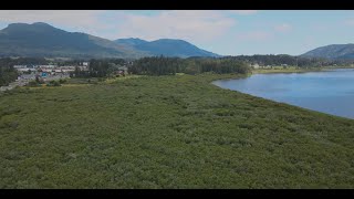 Somenos Marsh amp Cowichan River aerials [upl. by Rika581]