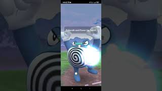 Cliff New Shadow  Galar Zigzagoon OCT24 pokemon pokemongo [upl. by Bunnie]