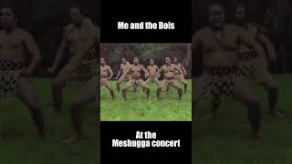 Meshuggah Haka [upl. by Amalia961]