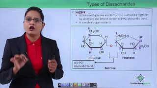 Biomolecules  Oligosaccharides [upl. by Enelam]