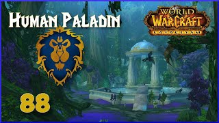 Lets Play World of Warcraft  Part 88  Cenarion Heartlands amp The Multiboxer  Alliance Paladin [upl. by Aniteb756]