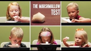 the marshmallow experiment  Instant gratification [upl. by Aletsirc]