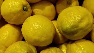 LES BIENFAITS DU CITRON POUR LA SANTE [upl. by Sonafets]