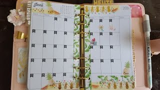 ♡♡FILOFAX Monatsübersicht Juni  June Monthly Overview♡♡ [upl. by Clute]