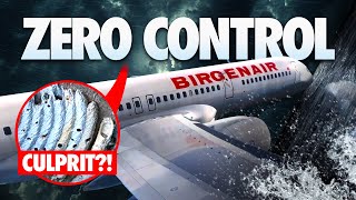 NO ONE Was Ready for THIS What Really Happened To Birgenair Flight 301 [upl. by Shell]